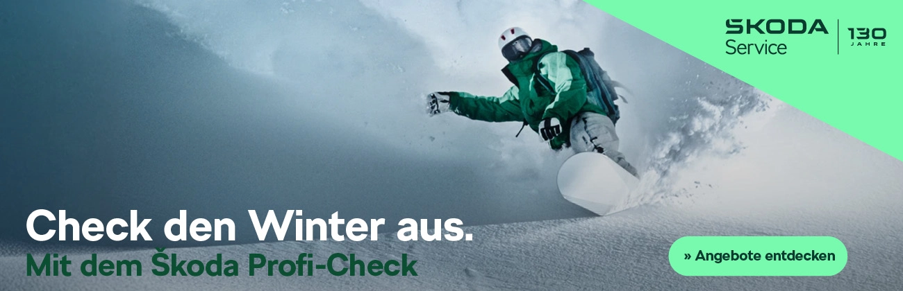 Skoda Teile Rabatt