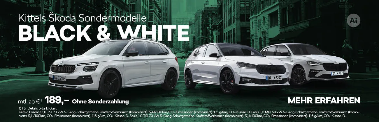 Slider Skoda Black & White
