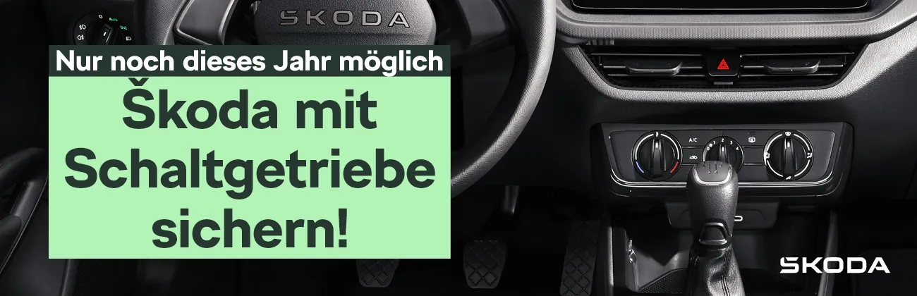 Skoda Schalter